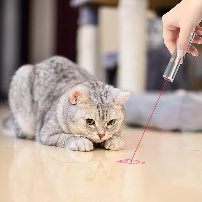 Rechargeable laser hot sale pointer cat