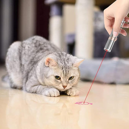 Laser Pointer - USB Rechargeable