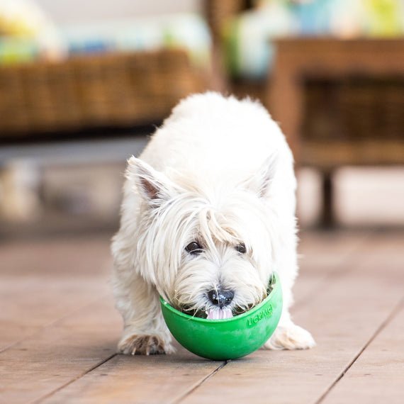 LickiMats and Bowls Wobbler Orange Small