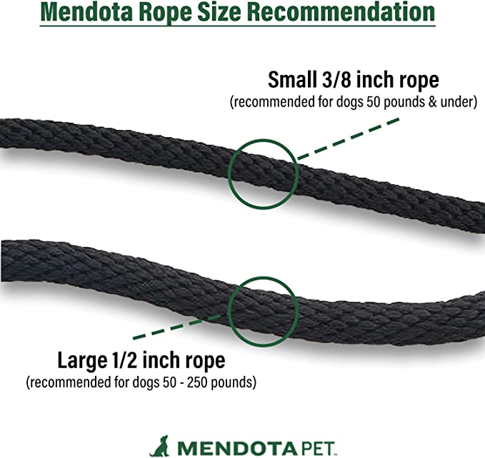 Mendota Snap Leash 6'