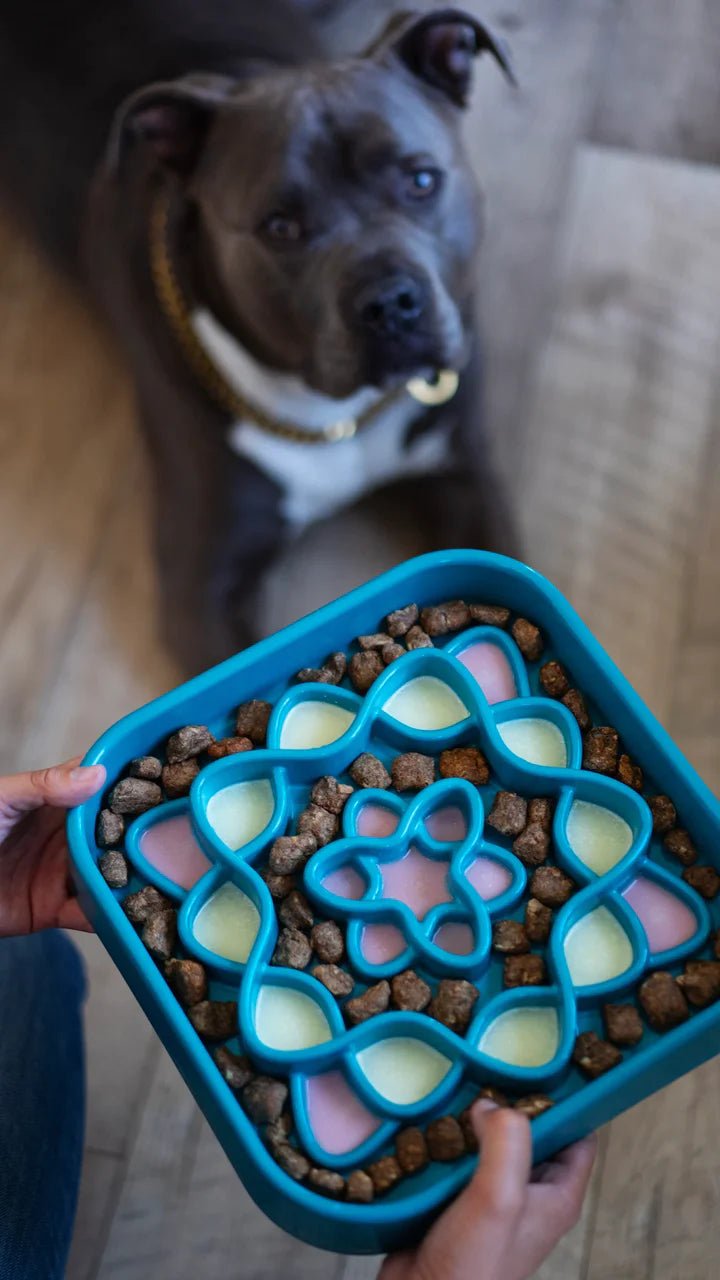 Messy Mutts and Cats Interactive Slow Feeder Bowls