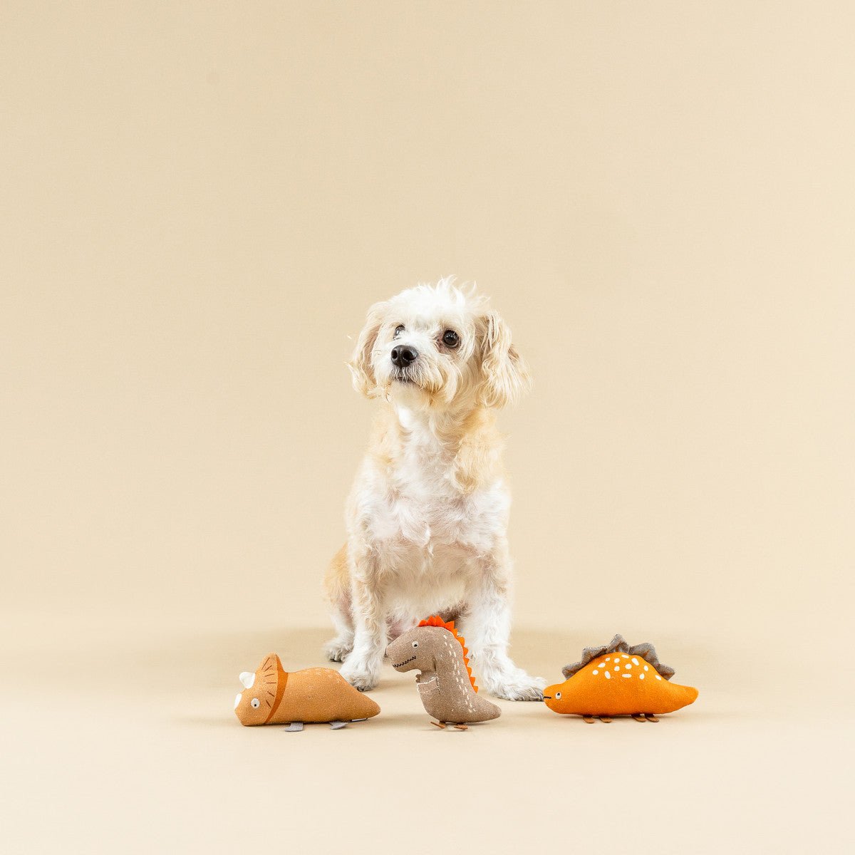 Mini Canvas Dog Toys T-Rex