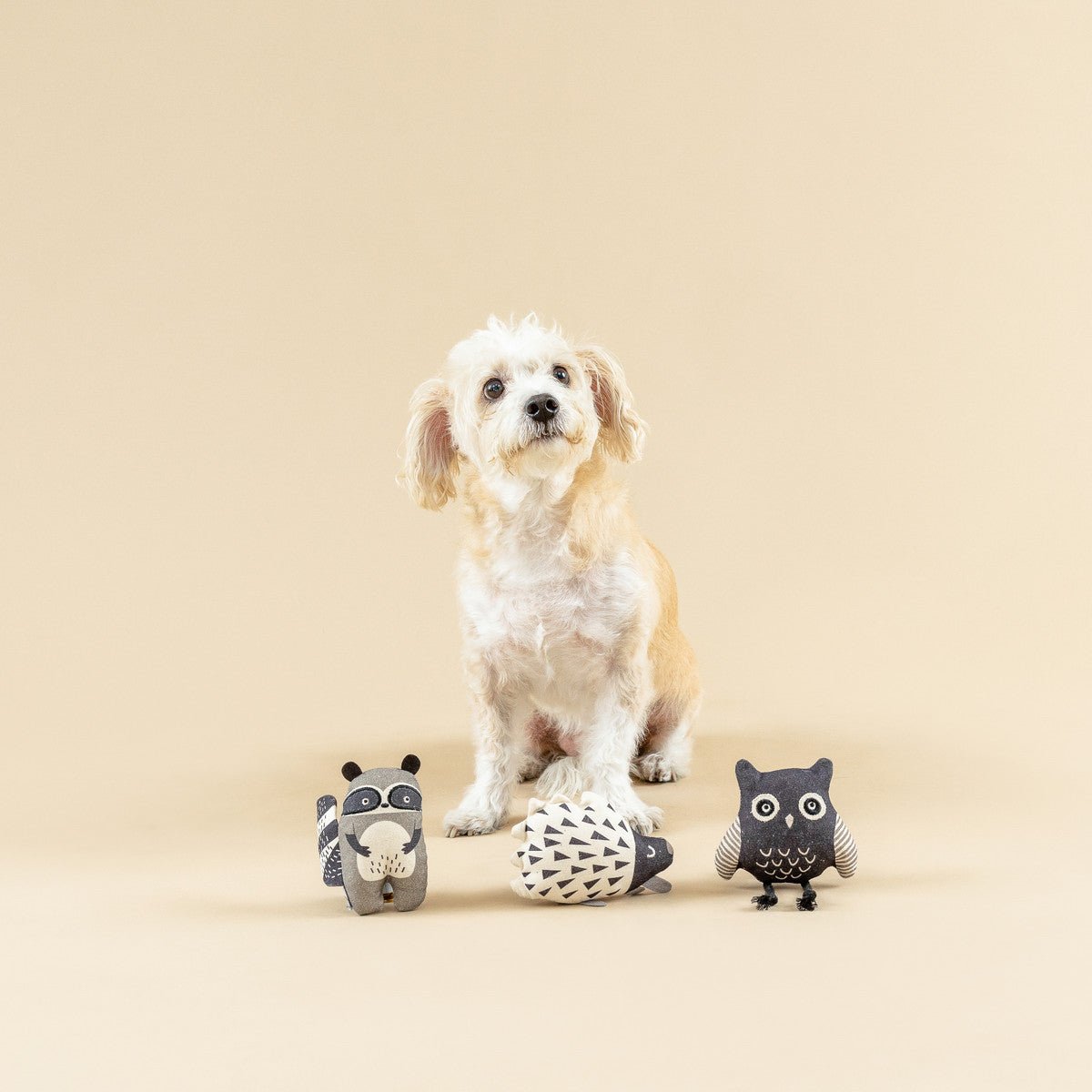 Mini Canvas Dog Toys Owl