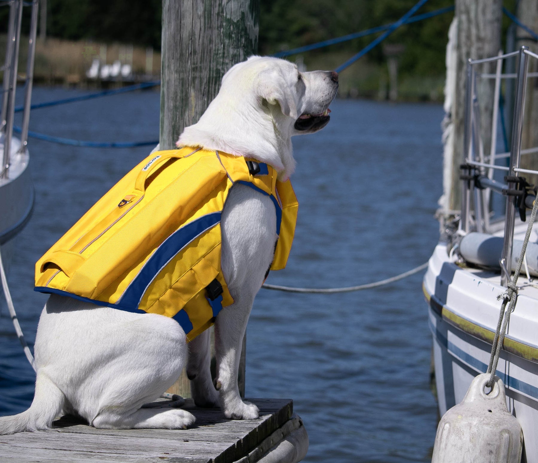 Monterey Bay Offshore Life Jacket