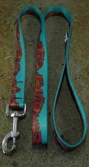 Mtn Straps Leashes 4ft Canyon Walls