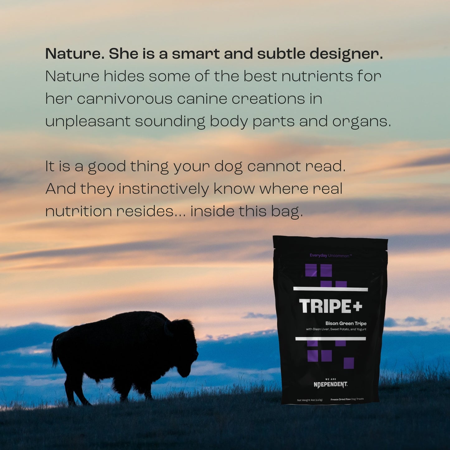 NDependent Tripe+ Dog Treats Bison Tripe