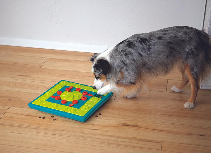 Nina Ottosson Dog Puzzles L4 Multipuzzle