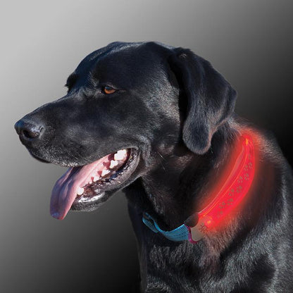 Nite Ize Nite Dog LED Collar Cover