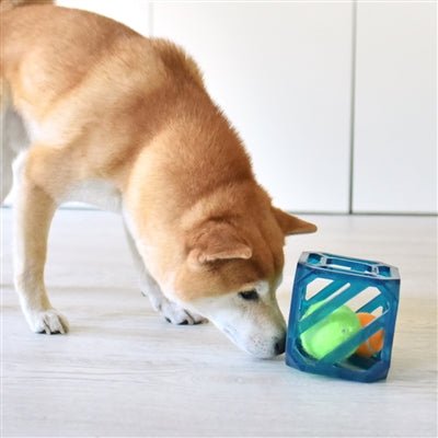 Outward Hound Puzzle Cube Interactive Squeaky Dog Toy, Blue, One-Size 