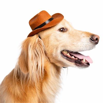 Pet Costumes One Size Cowboy Hat