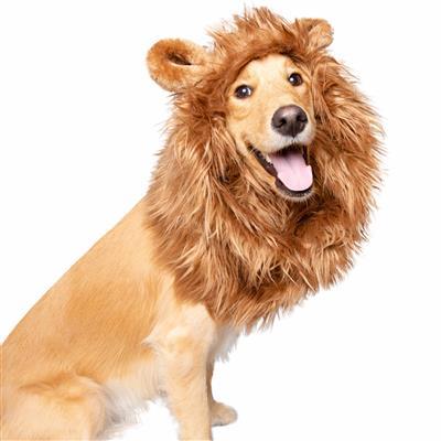 Pet Costumes Medium/Large Lion Mane