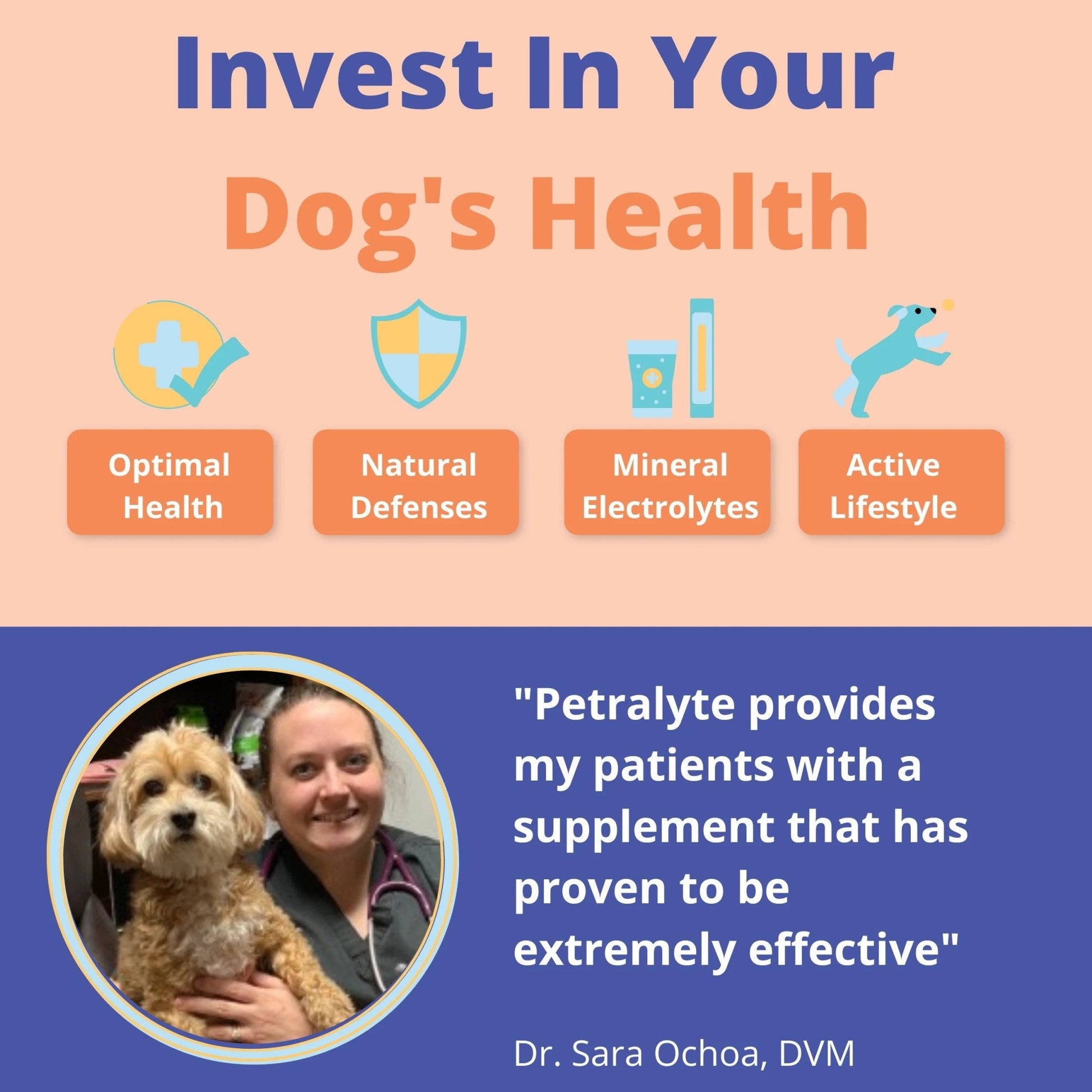 Petralyte Dog Electrolyte Formula Beef Singles