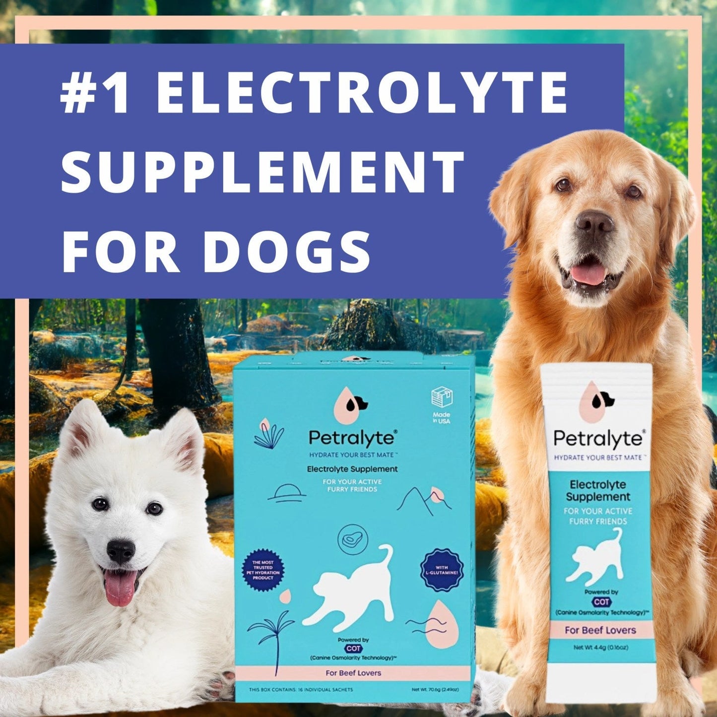 Petralyte Dog Electrolyte Formula Beef Singles