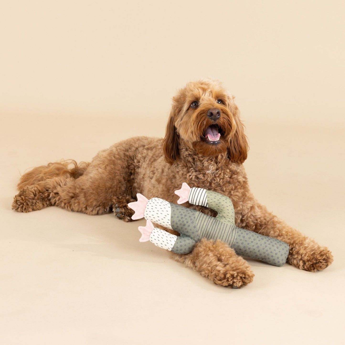 PetShop by Fringe Studio Canvas Toys - Happy Hounds Pet Supply