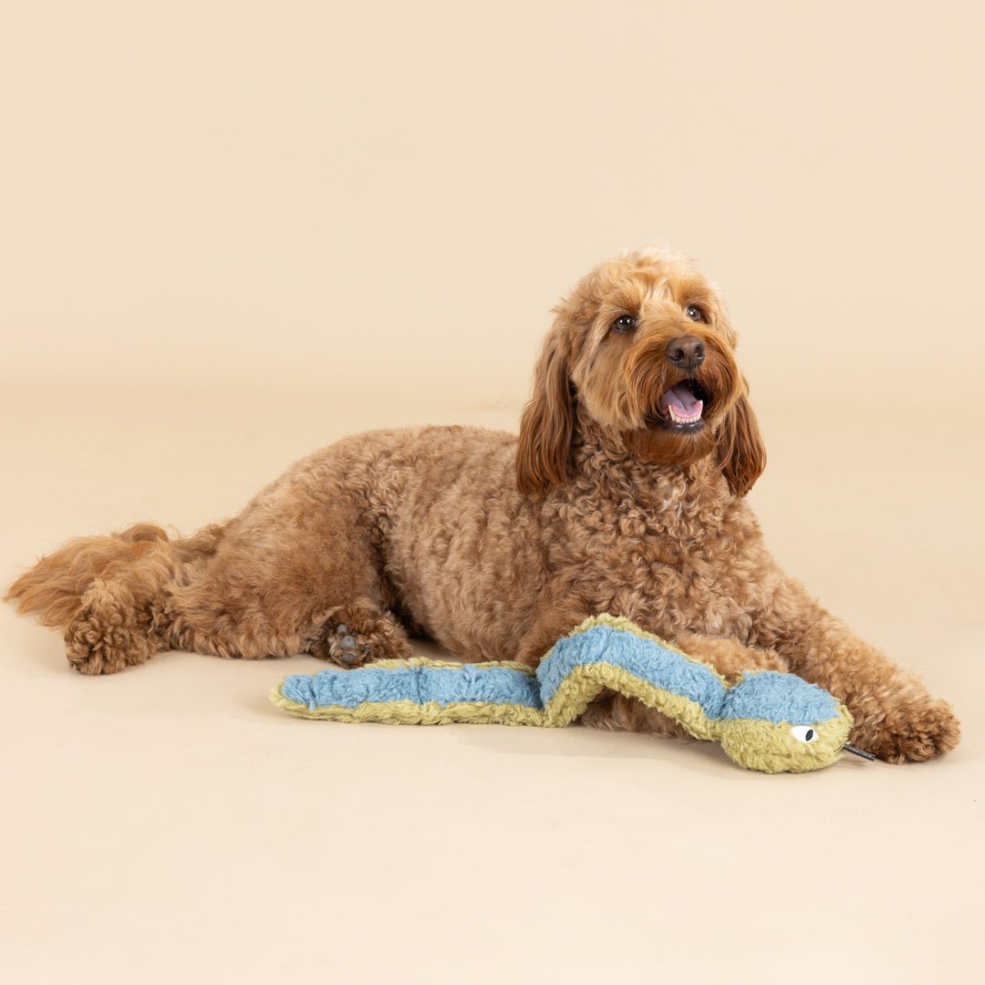 PetShop by Fringe Studio Earth Friendly Toys - Happy Hounds Pet Supply