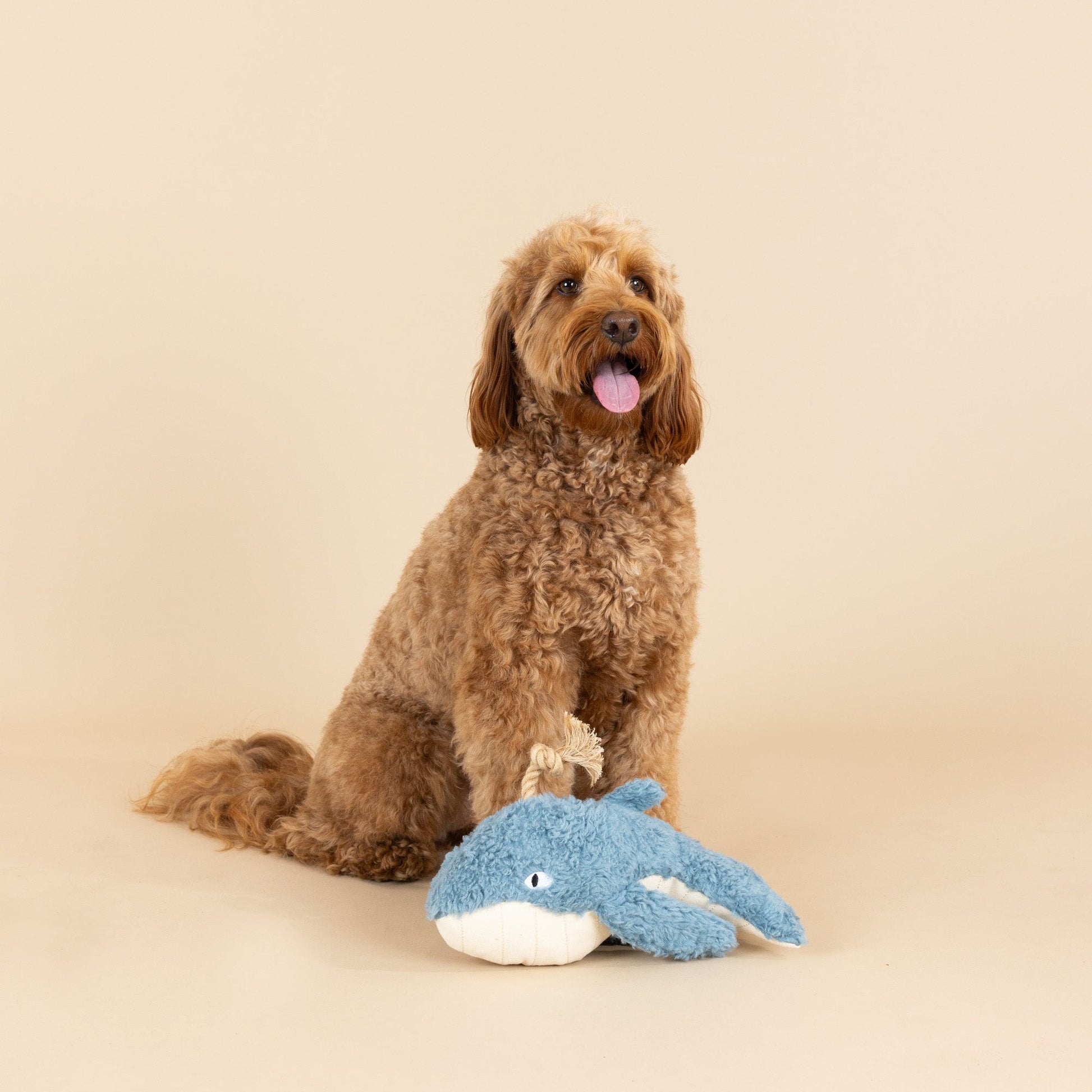 PetShop by Fringe Studio Earth Friendly Toys - Happy Hounds Pet Supply