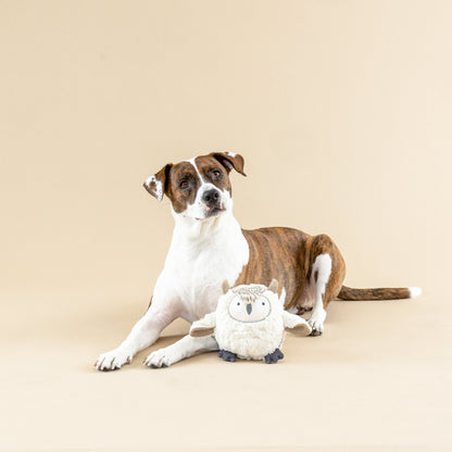 PetShop by Fringe Studio Earth Friendly Toys - Happy Hounds Pet Supply
