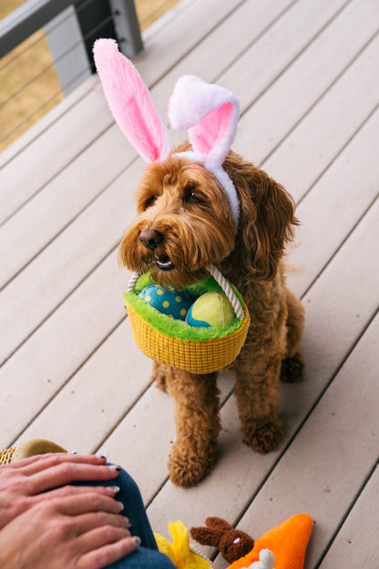 P.L.A.Y. Pet Lifestyle and You - Hippity Hoppity Collection - Happy Hounds Pet Supply