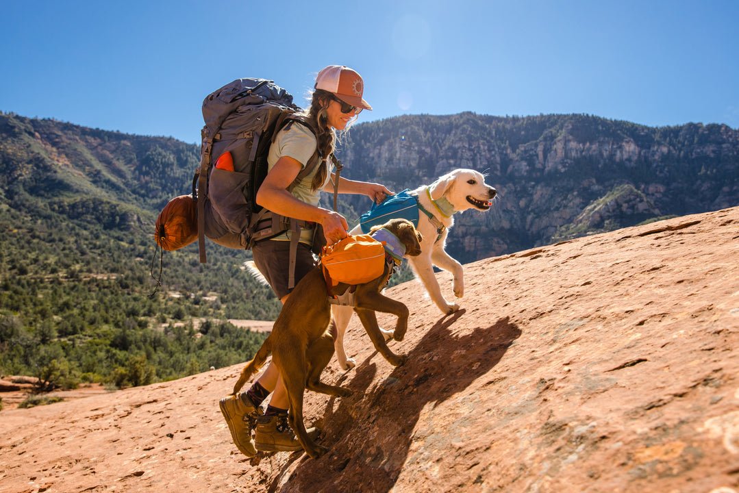 Ruffwear Approach Dog Pack Happy Hounds Pet Supply