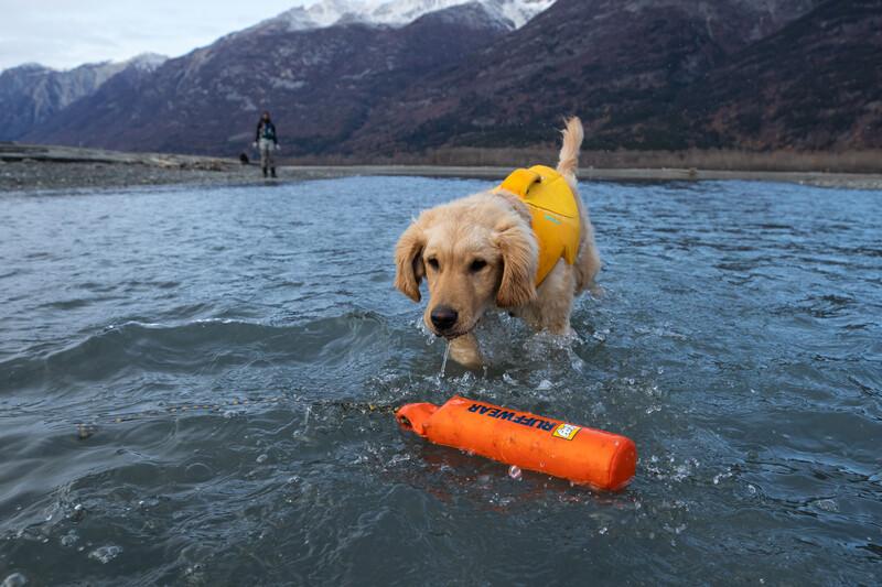 Float coat outlet retriever