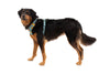 Ruffwear Front Range Harness - Happy Hounds Pet Supply