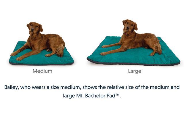 Ruffwear Mt Bachelor Pad Happy Hounds Pet Supply