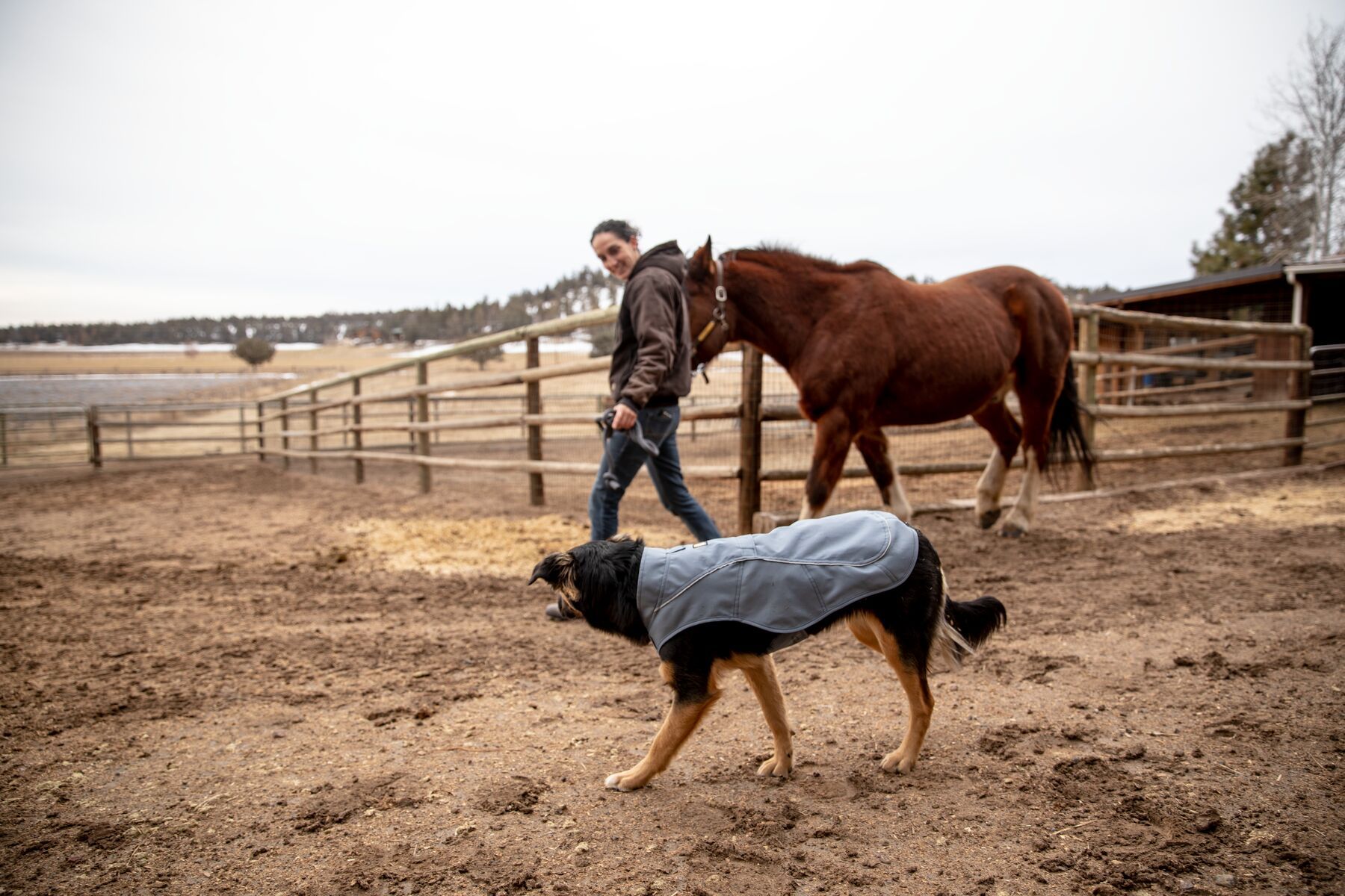 Ruffwear on sale overcoat jacket