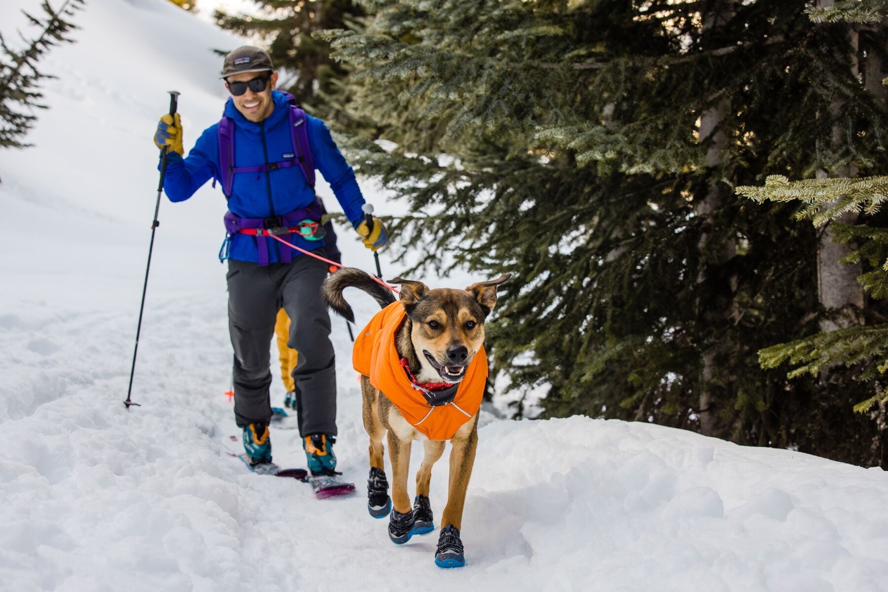 Ruffwear hot sale quinzee jacket