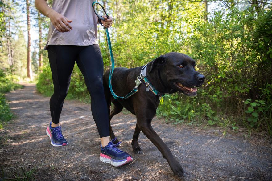 Ruffwear Web Reaction Martingale Collar