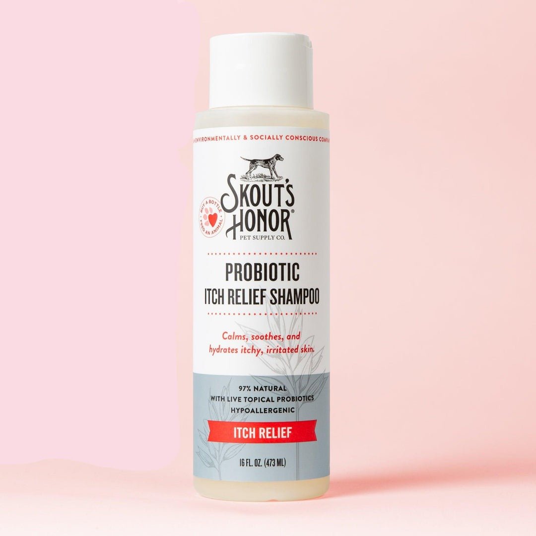 Skout’s Honor Probiotic Itch Relief Shampoo