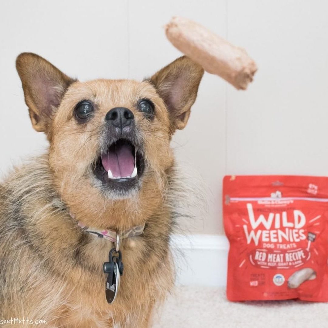 Stella and Chewy's Wild Weenies Red Meat