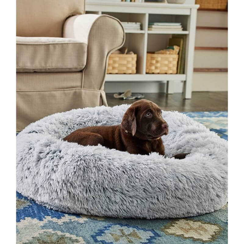 Happy tails dog outlet bed