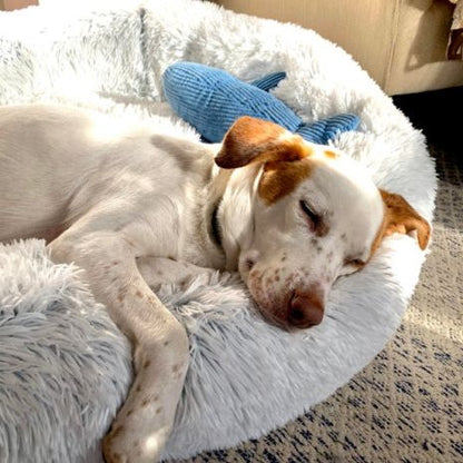 Tall Tails Dream Chaser Cuddle Bed - Happy Hounds Pet Supply