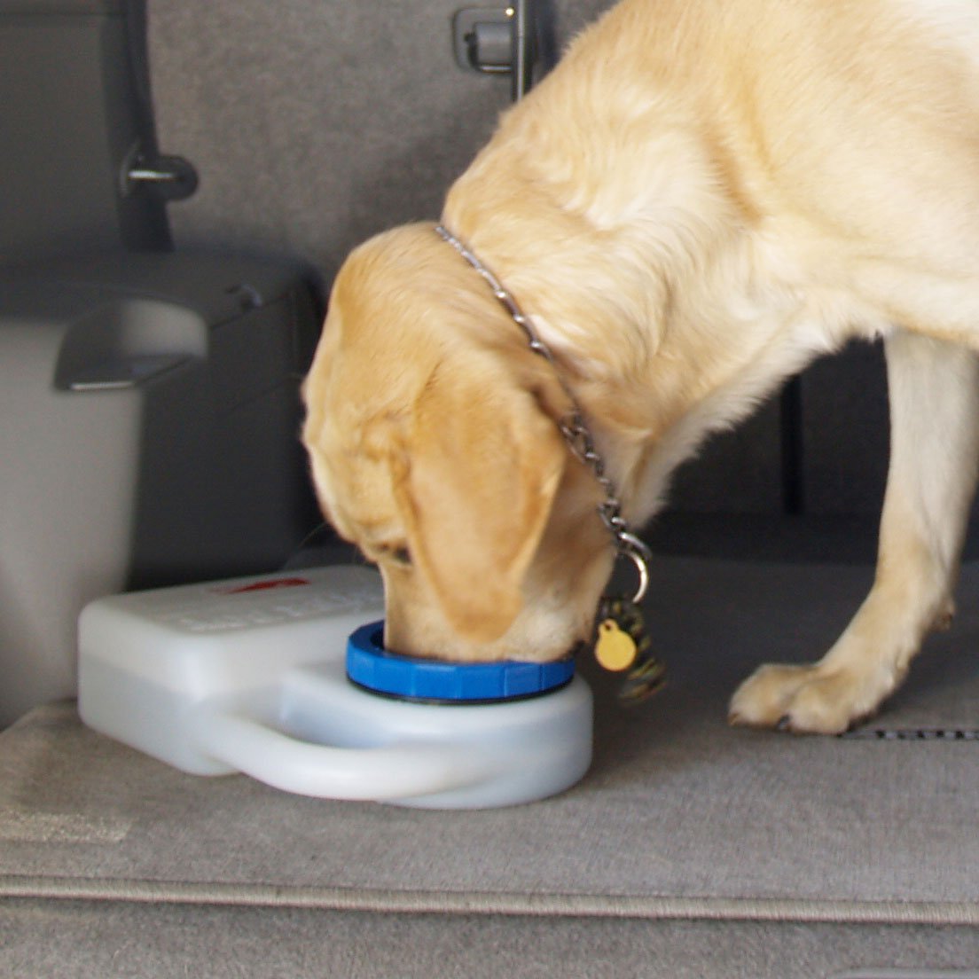 WaterBoy Travel Water Bowl