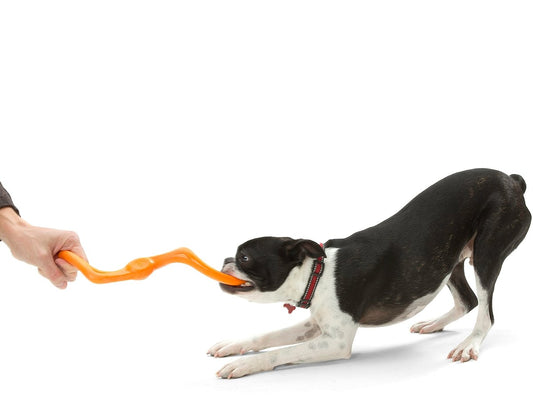 West Paw Bumi Tug Toy Tangerine
