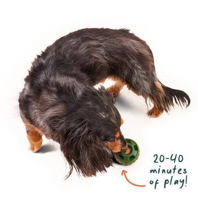 Woof Pupsicle Dispensing Dog Toy – Jax & Darci
