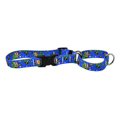 Yellow Dog Design Leashes 3/8" x 5' Buterfly Fish